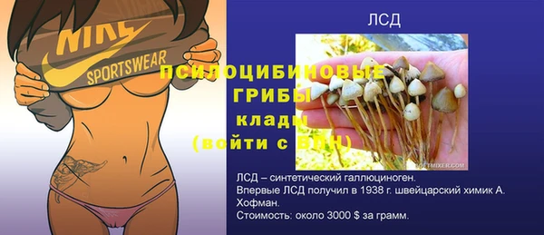 твердый Каменка
