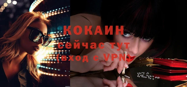 твердый Каменка
