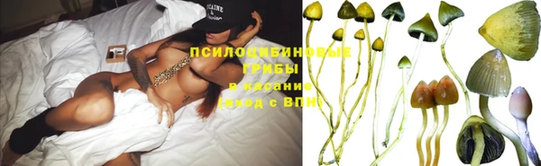 твердый Каменка
