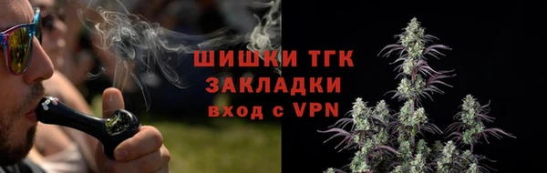 твердый Каменка