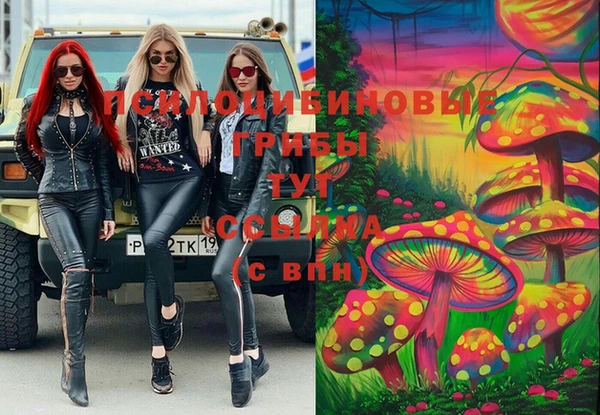 твердый Каменка