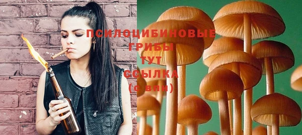 MDMA Каменногорск