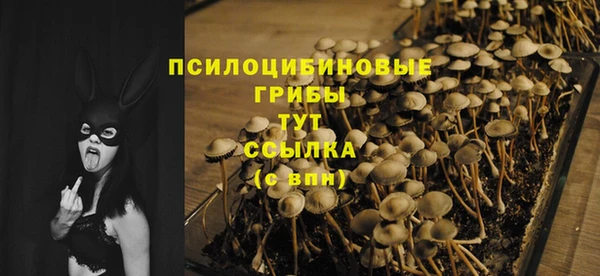 твердый Каменка