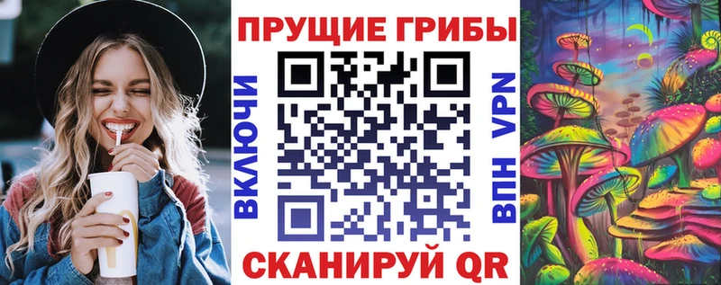 Купить где  Белоозёрский  Галлюциногенные грибы Psilocybe 